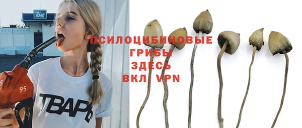 Альфа ПВП Алексеевка