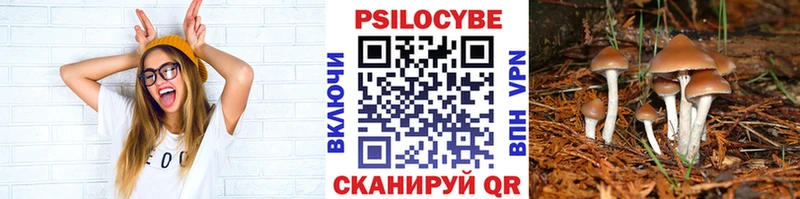 Псилоцибиновые грибы прущие грибы  Апрелевка 