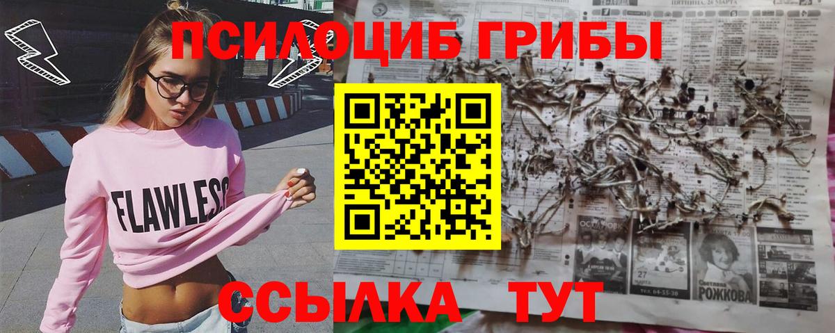 Псилоцибиновые грибы GOLDEN TEACHER  Псилоцибиновые грибы Psilocybine cubensis  Апрелевка  купить наркоту  Вход с VPN 