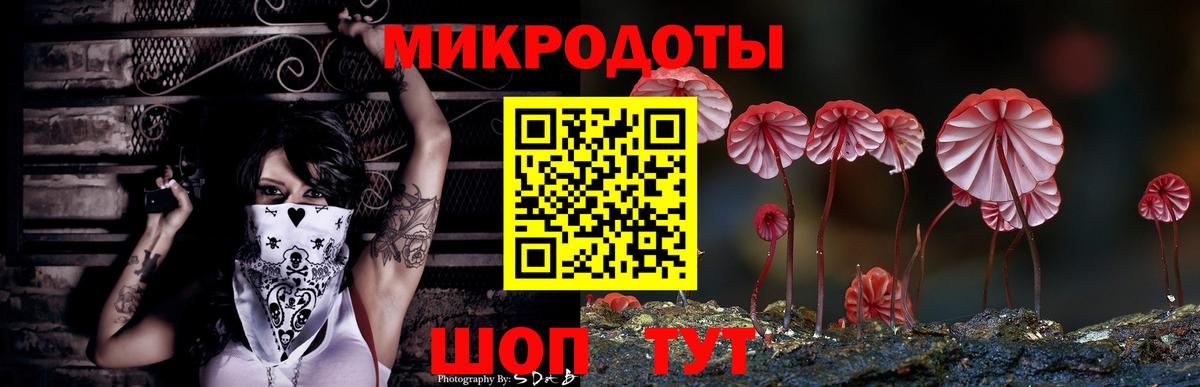 Псилоцибиновые грибы Psilocybe Апрелевка
